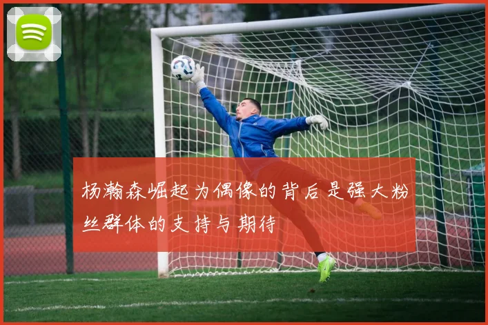 杨瀚森崛起为偶像的背后是强大粉丝群体的支持与期待